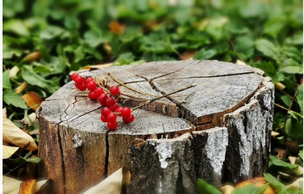 離婚後，女兒考上了復旦大學