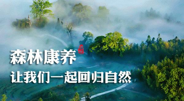 防疫科普小貼士丨紅外線測溫儀是否對人體有害