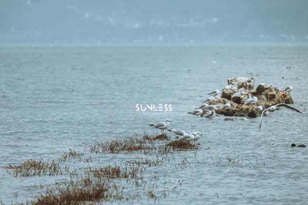 雲南西北,一個可以抵達的理想國 雲南西北,一個可以抵達的理想國