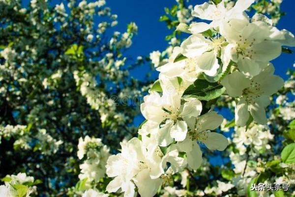 先有爸先有媽 先有爸先有媽