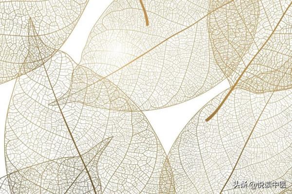 暴露體質虛弱的脈象