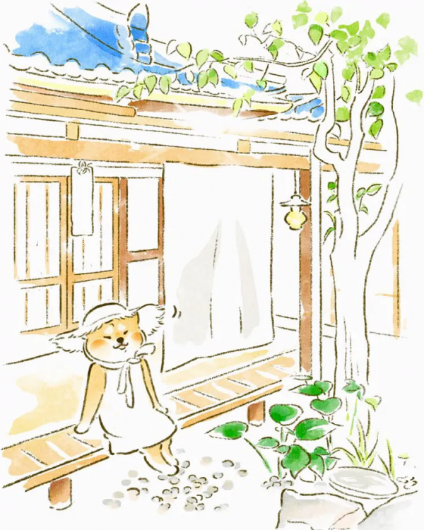 戲精柴犬的逗比日常