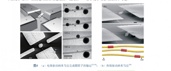 奈米馬達的驅動機理研究進展