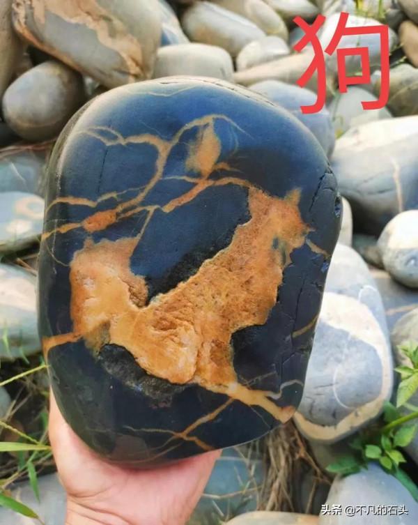 十二生肖畫面奇石,想要湊齊真不容易 十二生肖畫面奇石,想要湊齊真不容易