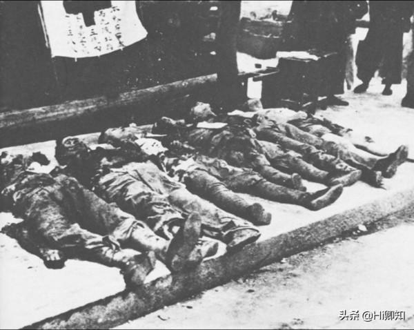 看了北野武對日本的不甘心，你會明白趙婷有多壞