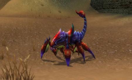 動物世界之昆蟲篇：朝菌不知晦朔，蟪蛄不知春秋，你選擇當誰？