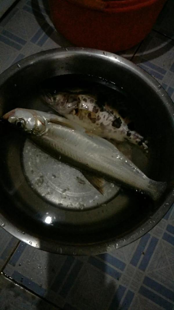 感謝有你的陪伴