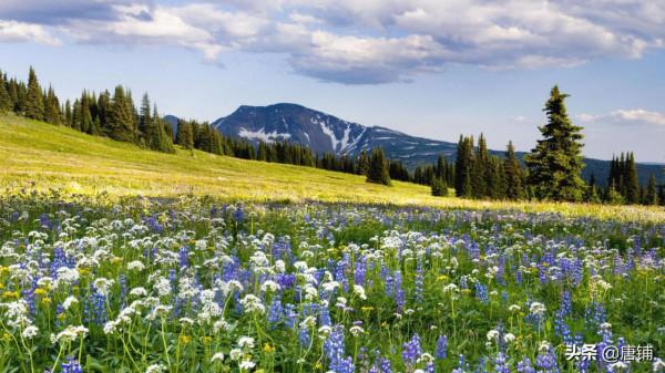 熬夜是對身體最大的傷害 熬夜是對身體最大的傷害