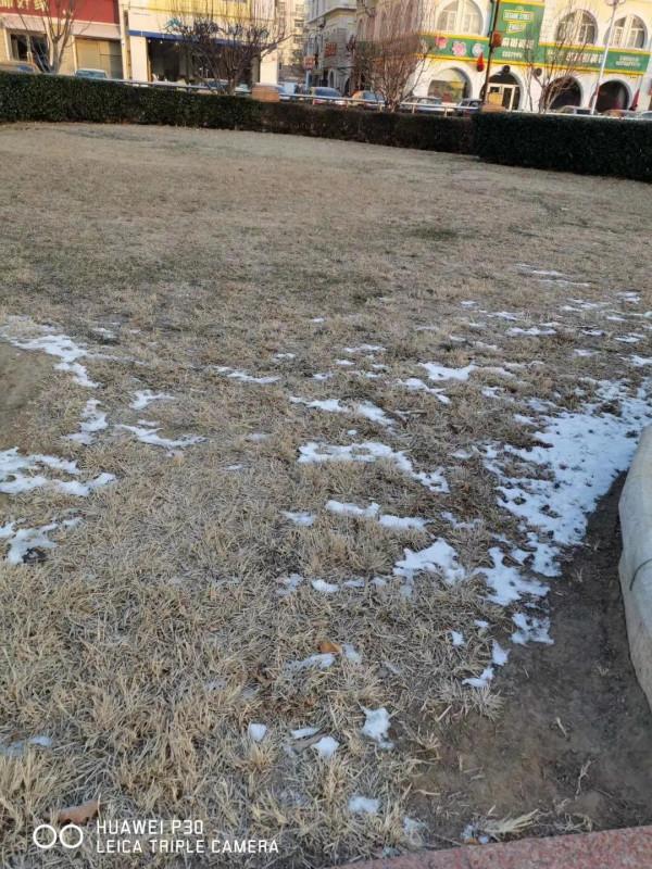 雪中練鞭杆，助力冰雪盛會