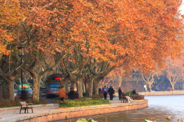 一到秋天，這五座古城就美翻，趕緊去打卡吧