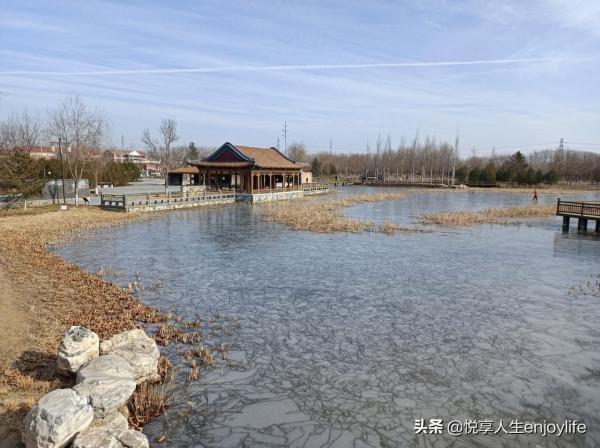 通州綠心森林公園南有個超大公園，免費停車免門票免費滑冰