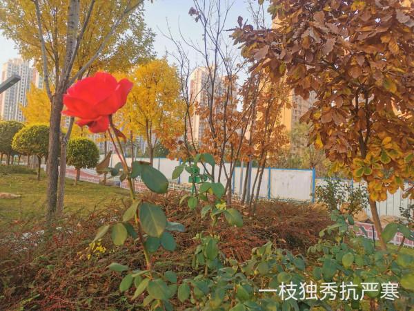 七彩之體育公園