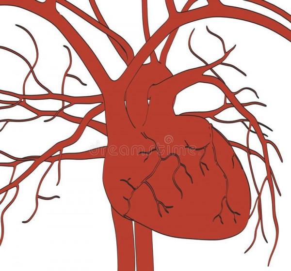 血壓中的高壓與低壓，之間的差值越大，就代表血管越“硬”嗎？