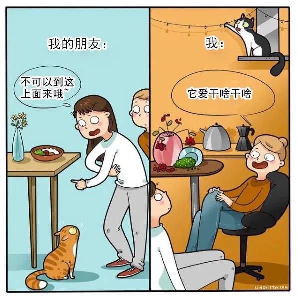 人間真實！藝術家筆下“貓主子”的日常