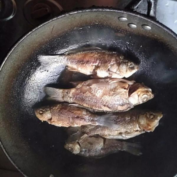 河鯽魚喜歡吃嗎 河鯽魚喜歡吃嗎