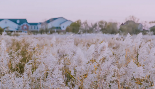 第一站,黃河入海口! 第一站,黃河入海口!
