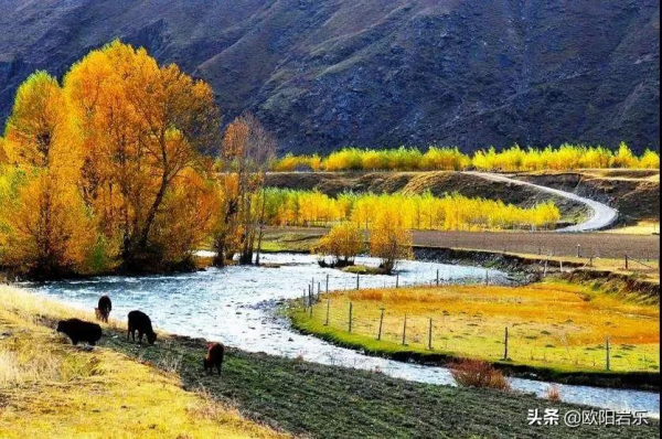 國內一生必打卡的20個地方，去過8個才算及格，你去過幾個呢？