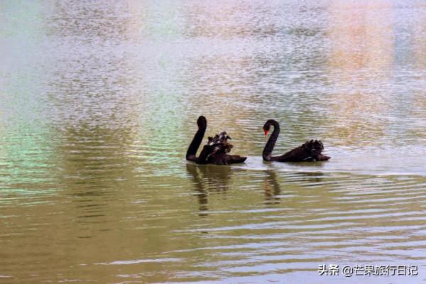 湖南又一小眾景點走紅，距離廣州1.5小時高鐵，像走進宮崎駿動畫
