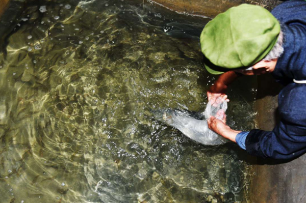 農家父子屋內挖井挖出財富，把家打造成收門票的景點，年入30多萬