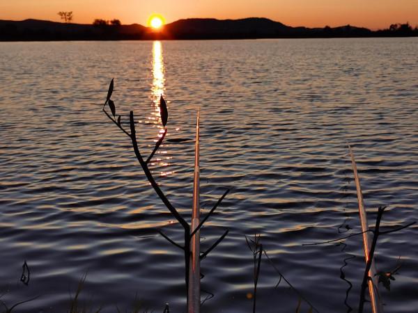 我本來想著搶在洪峰前釣釣魚，沒成想差點沒走出來……