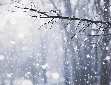 隆冬盼新春，臘八等過年