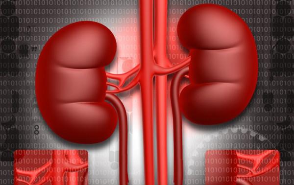 多喝水能護腎嗎?不想傷腎,就要避免錯誤的喝水方式 多喝水能護腎嗎?不想傷腎,就要避免錯誤的喝水方式