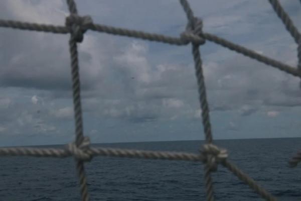 鈞正平：澳大利亞國防部散佈炒作虛假資訊十分下作