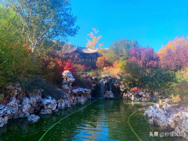 北京遛娃拍照賞秋的好去處，比香山人少，不要門票卻少有遊客知道