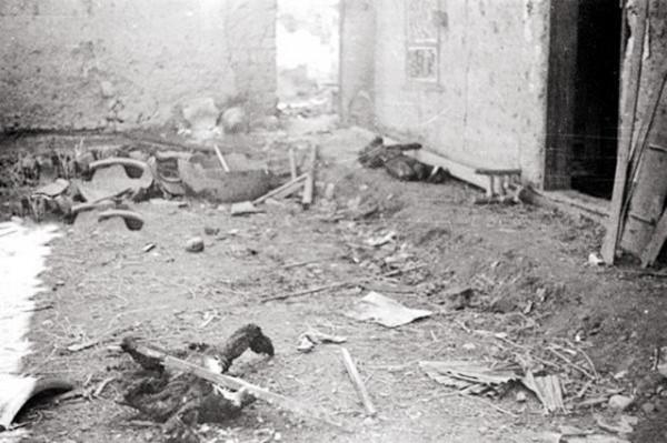 參軍18年後，中野三縱副司令回鄉探親，老母親問：長官你找誰？