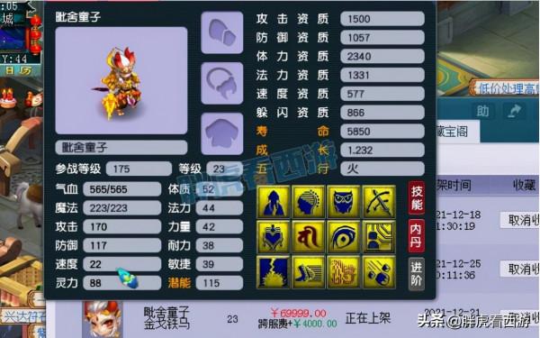 夢幻西遊：張夢蕭回應人情世故，新生肖神獸超級神虎（壬寅）