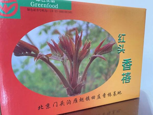 紅色田莊的“錦繡”前程 紅色田莊的“錦繡”前程