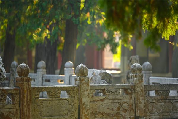 光影交織色彩絢爛 初冬的岱廟又美成了深秋的樣子 光影交織色彩絢爛 初冬的岱廟又美成了深秋的樣子