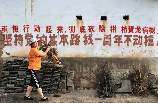 這四句話，概括了中國共產黨的一百年