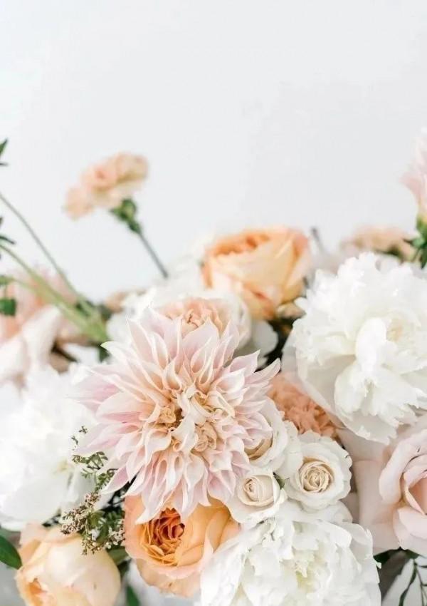 植庫‖豐富多彩的大麗花竟被冠為慘案之名？