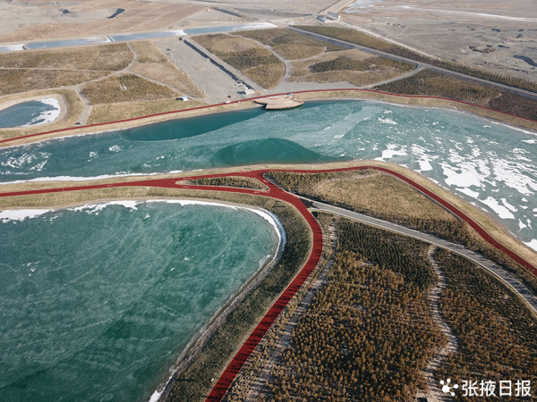 冬日的城市森林公園 美麗圖案如夢如幻