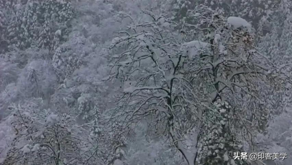 十部治癒系高分電影