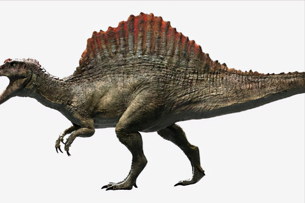 十大遠古巨獸排行榜,大象如點心鯊魚像幼崽,有一種至今還存在? 十大遠古巨獸排行榜,大象如點心鯊魚像幼崽,有一種至今還存在?