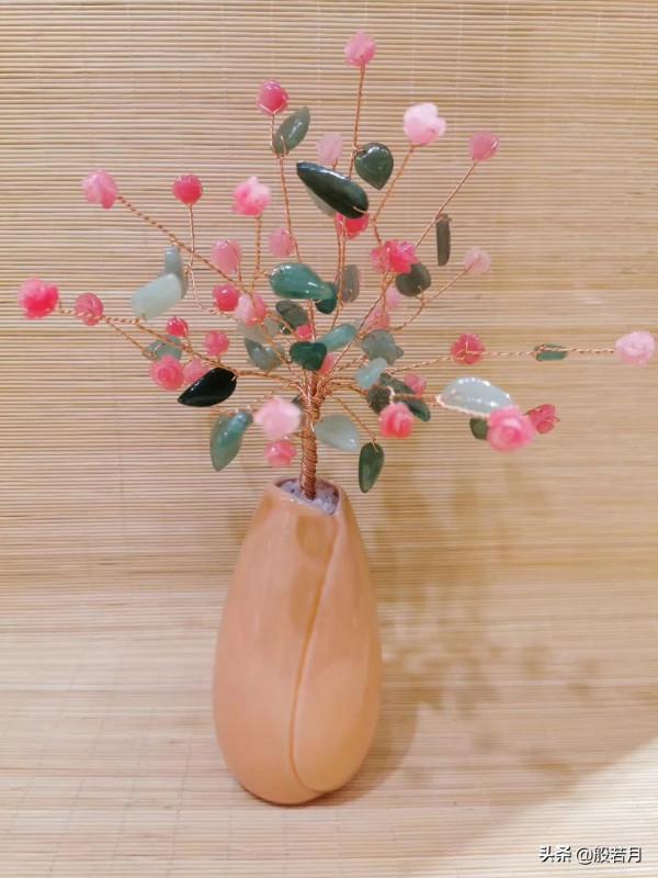 這些盆栽要是家裡能有一盆，賊有面子