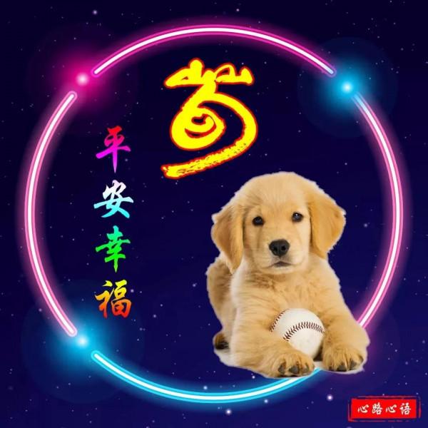 這樣的荀姓生肖頭像,是你喜歡的嗎? 這樣的荀姓生肖頭像,是你喜歡的嗎?