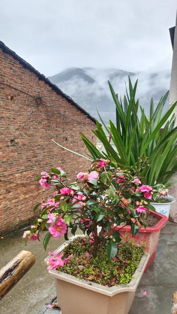 四十不惑，再聽山丘，高中聚會還剩下多少感情？