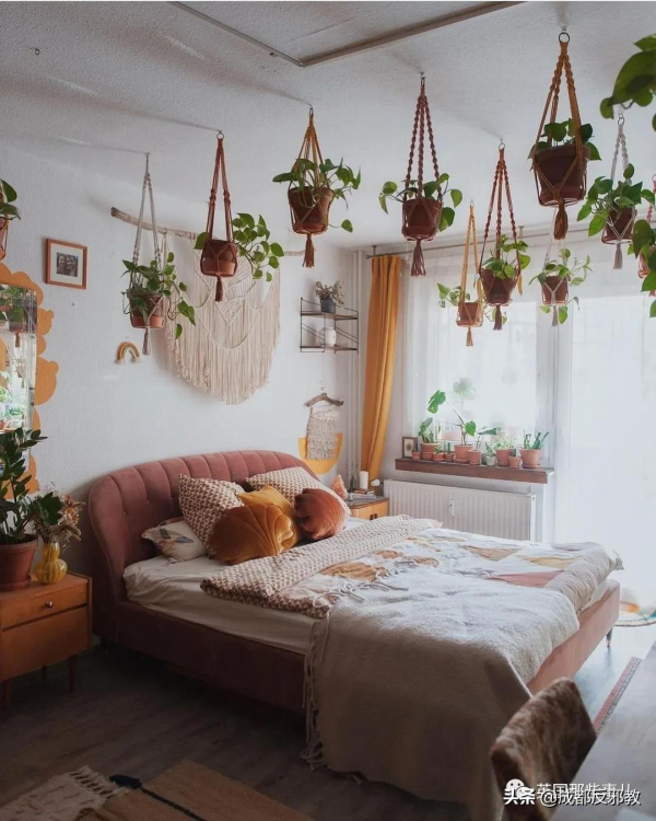 被疫情困太久，歐美年輕人開始瘋狂囤積綠植，借錢都要買？