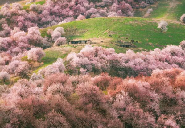 全國最適合一個人旅行的10個地方，景色超美，去過還想去第二次