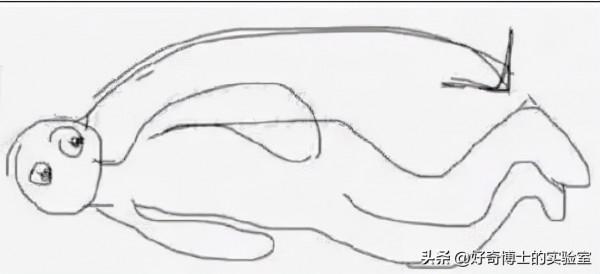 冷知識：每一顆牙齒的平均壽命其實都不同