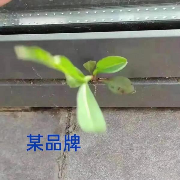 市場75系列系統窗的區別 市場75系列系統窗的區別