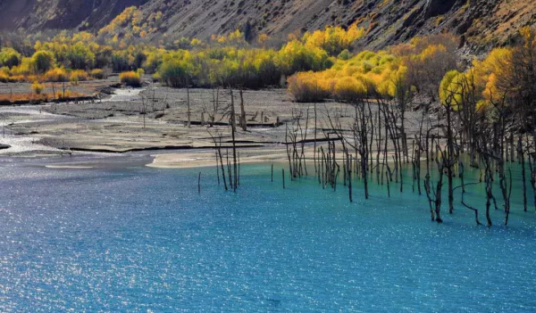 孟克德：金黃暴擊，意外心動