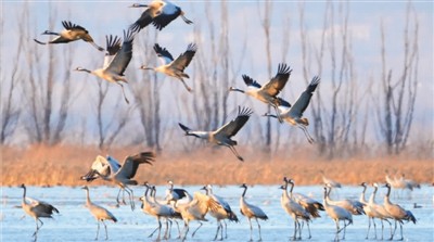 生態延慶 相約冬奧 生態延慶 相約冬奧