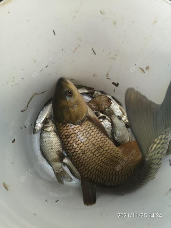 小小的改變讓爆護不是難事，哪裡跌倒就要從哪裡爬起來