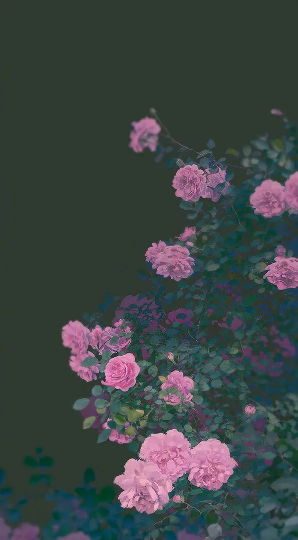 古風動漫頭像，把思念揉碎灑向夜空，便有了滿天繁星