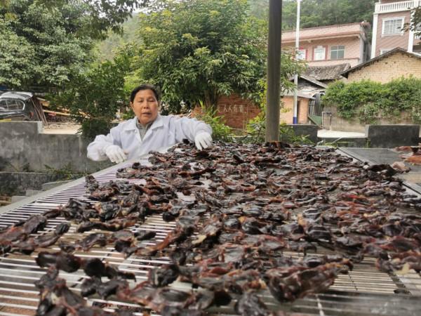 橫河臘味又飄香 直播助力土特產“變現”