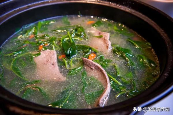 吃&OpenCurlyDoubleQuote;春季第一芽&rdquo;，養肝明目還清熱